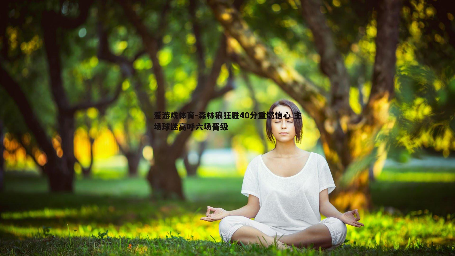 爱游戏体育-森林狼狂胜40分重燃信心 主场球迷高呼六场晋级